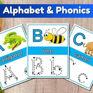 Alphabet & Phonics